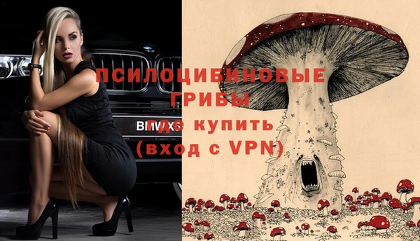 бошки Абдулино
