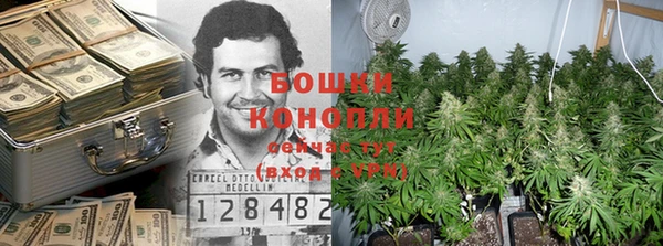 стаф Карпинск